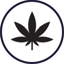 Massachusetts Drug Crimes Defense